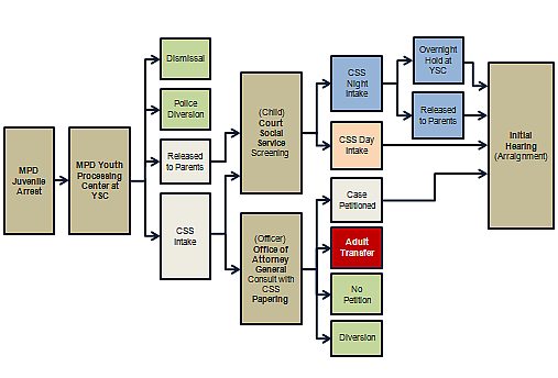 Chart showing the relationships between the process types and procedures